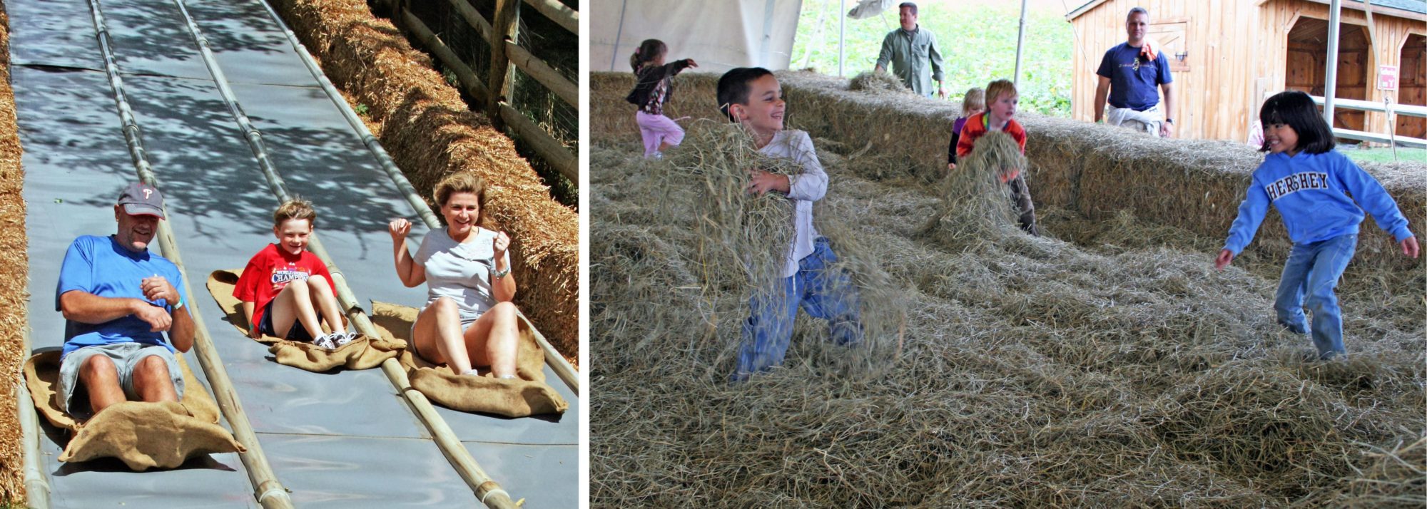 fun in the hay