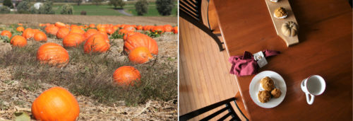 pumpkin-whoopie-pies